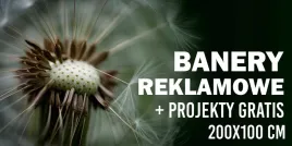 baner-reklamowy-oczkowany-200x100-dowolna-grafika-projekt-gratis