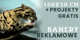 baner-reklamowy-plandeka-100x50-cm-dowolna-grafika-tekst-projekt-gratis