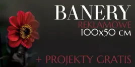 baner-reklamowy-oczkowany-druk-100x50-dowolna-grafika-tekst-projekt-gratis