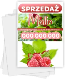 ulotki-a6-reklamowe-firmowe-1000-szt-projekt-gratis-sprzedaz-malin
