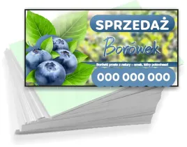 wizytowki-firmowe-foliowane-1000szt-wiele-wzorow-sprzedaz-borowek