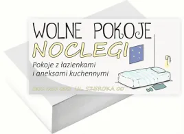 wizytowki-firmowe-100szt-duzo-wzorow-do-wyboru-noclegi