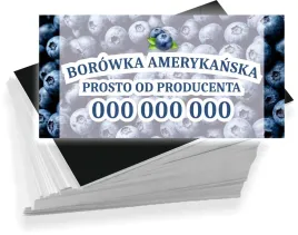 wizytowki-firmowe-200-szt-rozne-wzory-do-wyboru-borowka-amerykanska