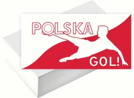 wizytowki-firmowe-foliowane-1000szt-wiele-wzorow-polska-gol
