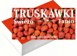 wizytowki-firmowe-100szt-rozne-wzory-do-wyboru-truskawki
