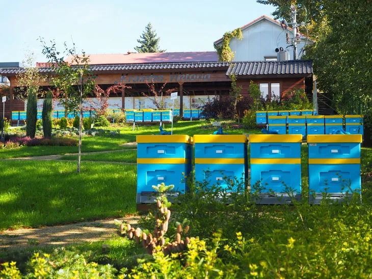 ulik-mini-api-epp-brazowy-lyson-producent-lyson-rodzaj-ul