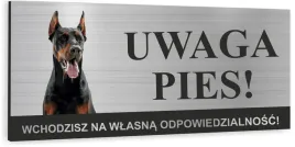 tabliczka-uwaga-zly-pies-doberman-aluminium-dibond