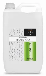 prosalon-colorart-szampon-regenerujacy-keratyna-5l