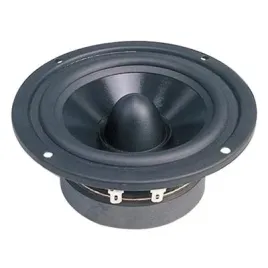 glosnik-4-10cm-25w-8ohm-dibeisi-dbs-g4001