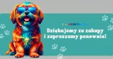 kongo-extreme-m-stan-opakowania-oryginalne