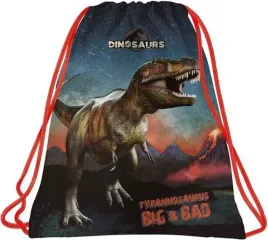 worek-szkolny-na-obuwie-derform-dinozaury-t-rex