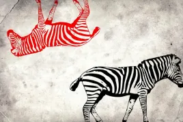 fototapeta-mural-zwierzeta-zebra-konie-cegla-mur