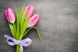 fototapeta-tulipany-bukiet-szarosc-260x180