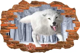 fototapeta-3d-naklejka-dziura-zwierzeta-bialy-wilk