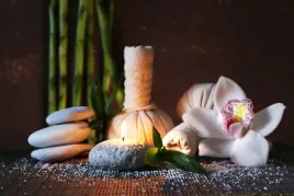 fototapeta-do-spa-lodyga-bambusa-storczyk-kamienie