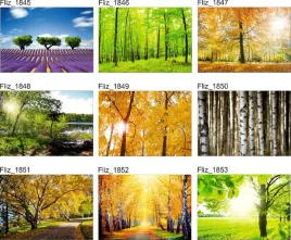 fototapeta-krajobraz-kwitnace-drzewo-trawa-mgla