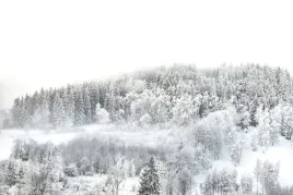 fototapeta-zimowy-widok-gorski-w-sniegu-gory-las