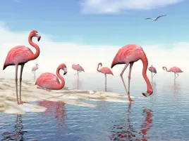 fototapeta-zwierzeta-natura-rozowe-flamingi-woda