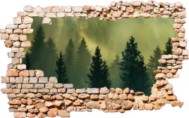 naklejki-3d-na-sciane-dziura-las-we-mgle-tapeta