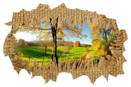 naklejka-samoprzylepna-dziura-3d-sielski-widok-hit