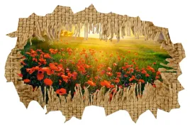 naklejka-samoprzylepna-3d-dziura-maki-laka-polne