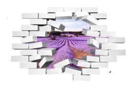naklejka-samoprzylepna-3d-pole-lawendy-lawenda-hit