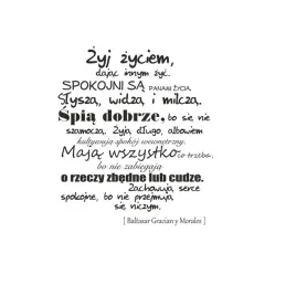naklejka-samoprzylepna-napisy-cytaty-na-sciane