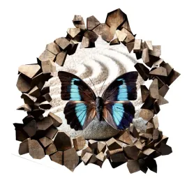 naklejka-samoprzylepna-efekt-3d-motyle-egzotyczne