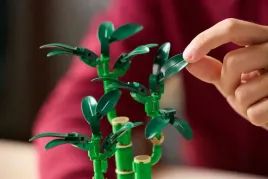 lego-icons-10344-botanicals-dracena-sandera