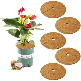 maty-kokosowe-ecoplant-protect-20cm-ochrona-roslin-trwala-5-sztuk
