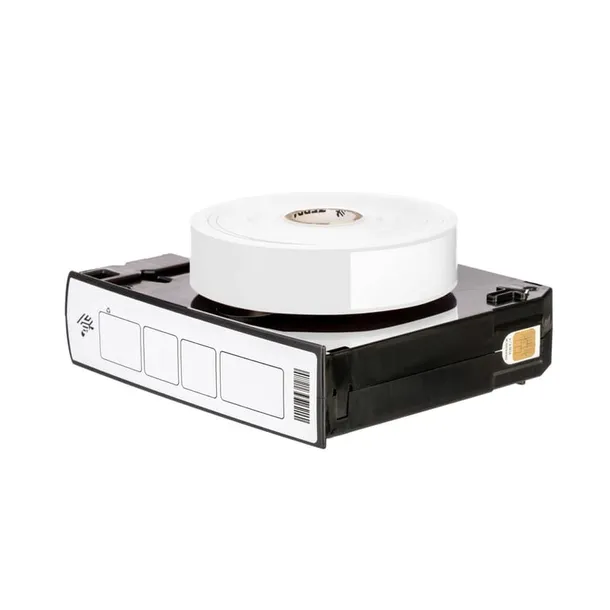 zebra-z-band-direct-bialy