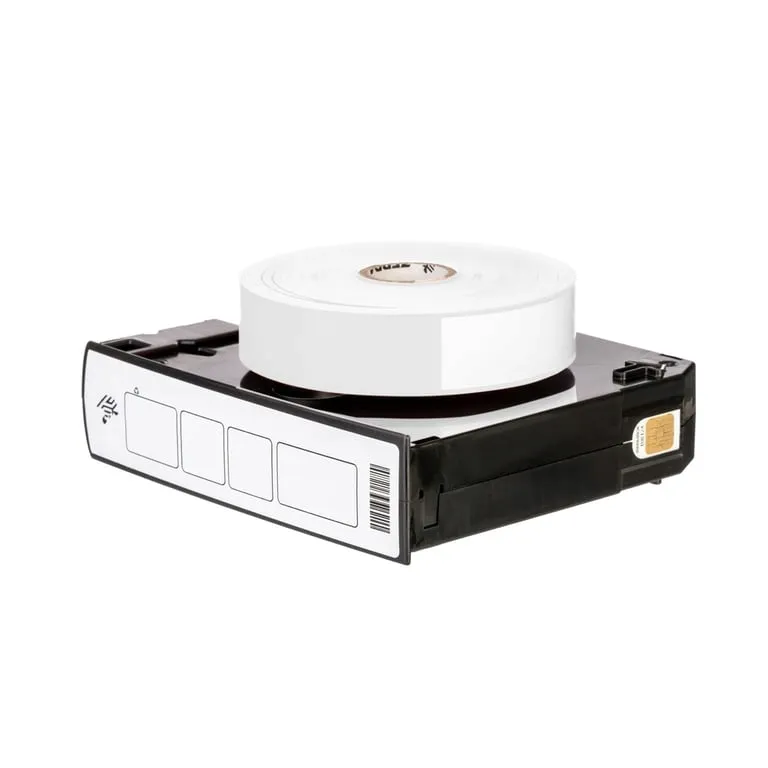 zebra-z-band-direct-bialy