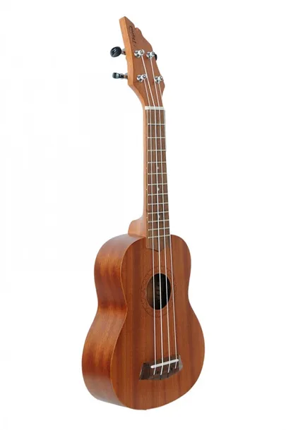 flycat-c10s-ukulele-sopranowe-kolor-odcienie-brazu-i-bezu