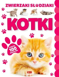 kotki-praca-zbiorowa