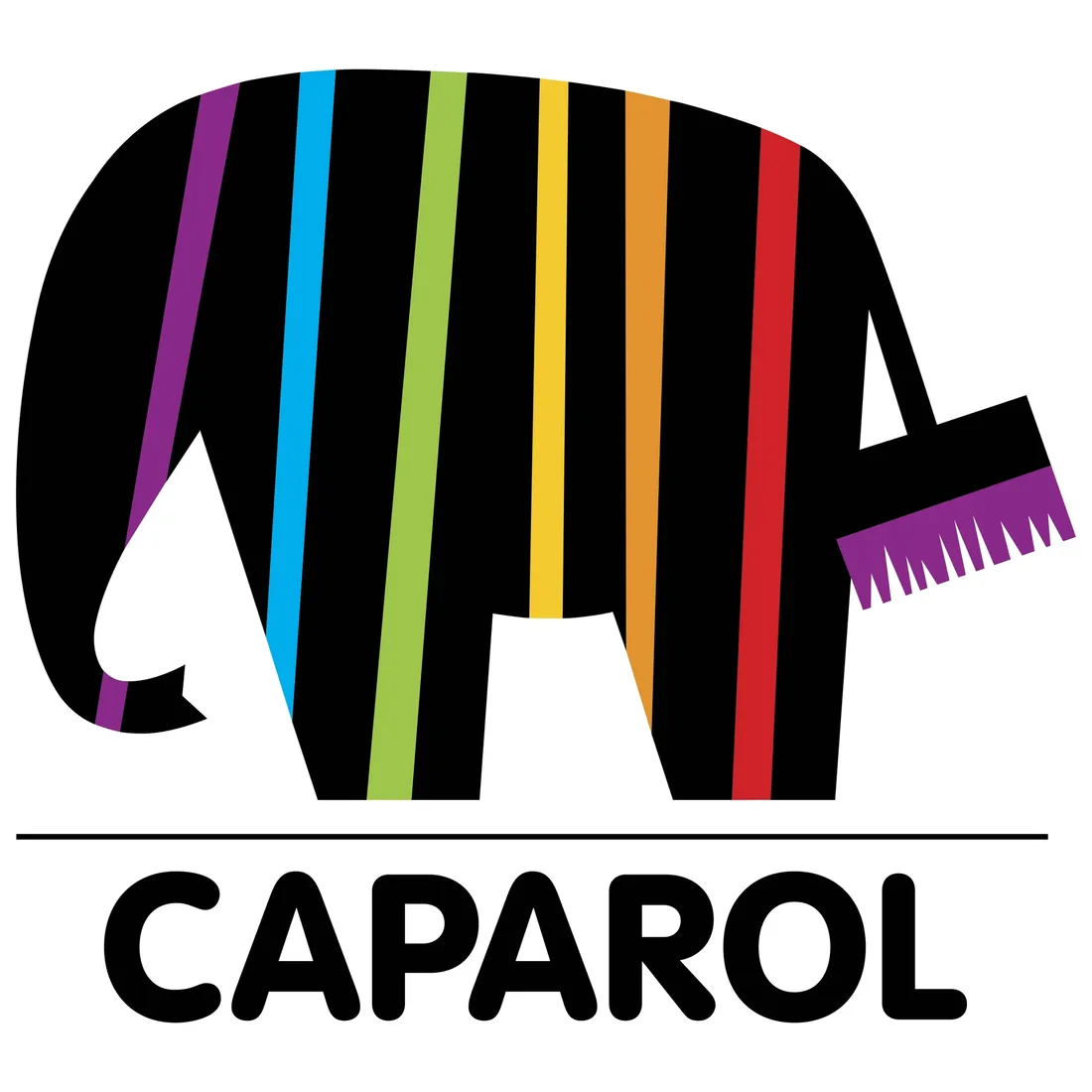 grunt-caparol-capagrund-universal-10l
