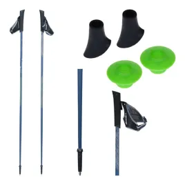 kije-trekingowe-viking-forrester-w-gory-nordic-walking-lekkie