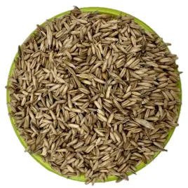 owies-zolty-bezluskowy-pasza-ziarno-dla-koni-kur-krolikow-kaczek-19kg