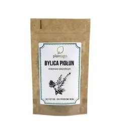 bylica-piolun-ziele