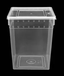 pojemnik-hodowlany-braplast-dla-modliszki-straszyka-ptasznika-25-cm