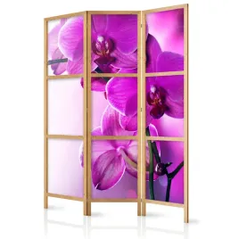 parawan-japonski-panelowy-3-czesci-fioletowe-kwiaty-orchidea-boho-135x172