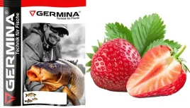 zaneta-germina-metoda-splawikowa-i-gruntowa-1kg-groundbaits-truskawka