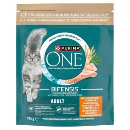 purina-one-mini-active-bogata-w-kurczak-z-ryz-sucha-karma-dla-kota-750g