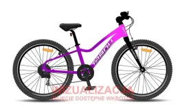 rower-dzieciecy-20-tabou-topshe-lite-rama-10-rozowy-purpurowy-r26