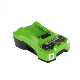 greenworks-ladowarka-2-a-greenworks-g24c-24v
