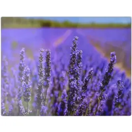 aria-szklana-deska-kuchenna-do-krojenia-serwowania-30-x-40-cm-lawenda