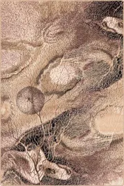 dywan-agnella-isfahan-bellona-ciemny-bez-80x120cm-brintons-agnella