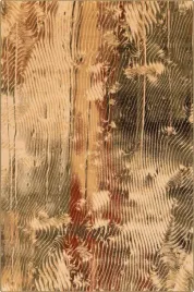dywan-agnella-isfahan-ornan-sahara-160x240cm-brintons-agnella