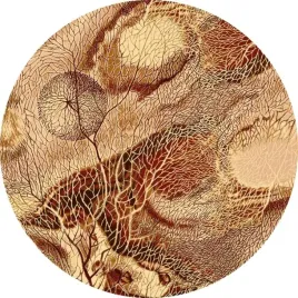 dywan-agnella-isfahan-bellona-bursztyn-kolo-160cm-brintons-agnella