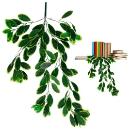 roslina-wiszaca-eukaliptus-1760-70-cm