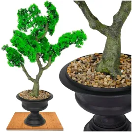 roslina-doniczkowa-bonsai-5210-60-cm